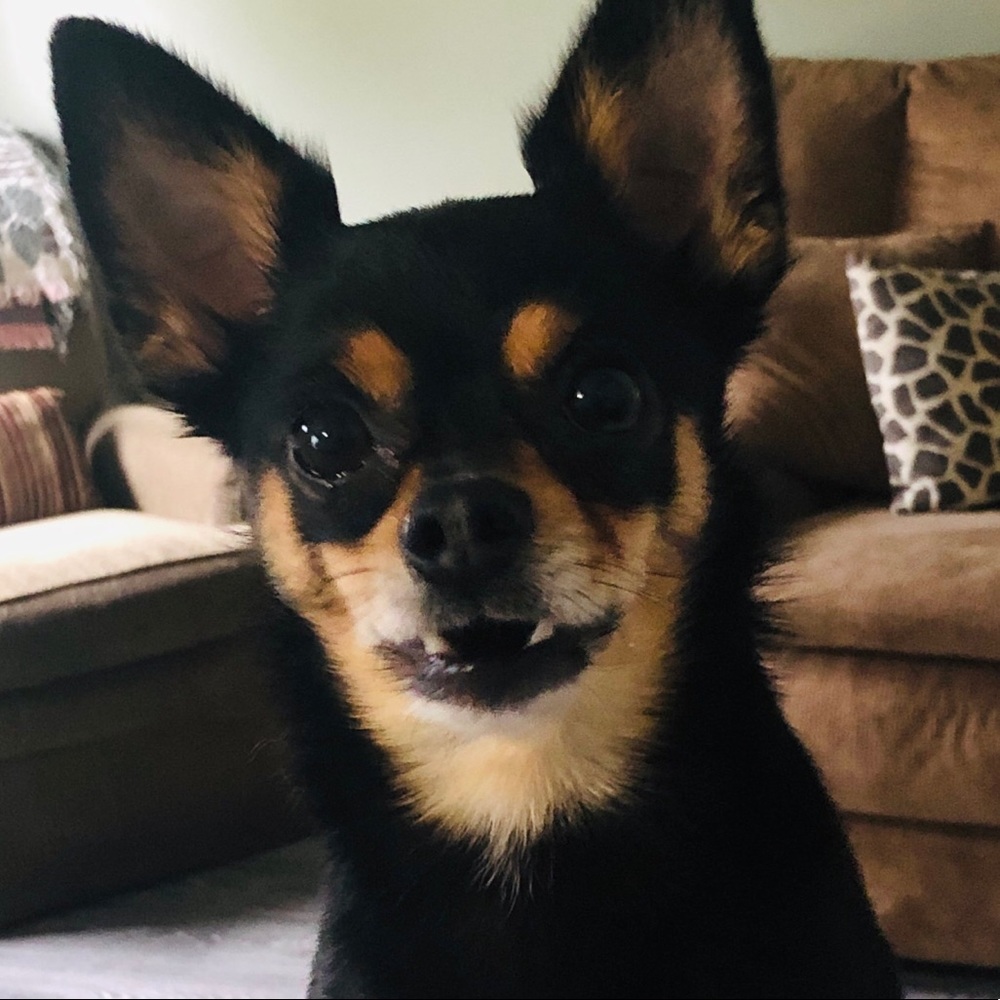 Meet your Posher, Tammy